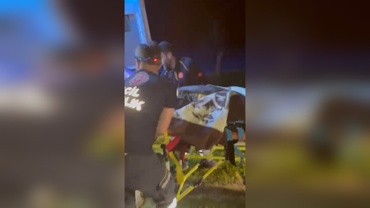 Safranbolu'da mantar toplama gezisi kanlı bitti