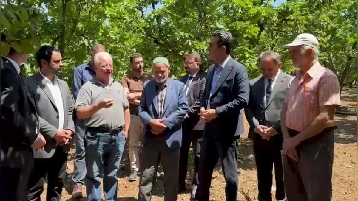 CHP’li Adem: Sakarya’daki ayva üreticileri kaderiyle baş başa bırakılacak