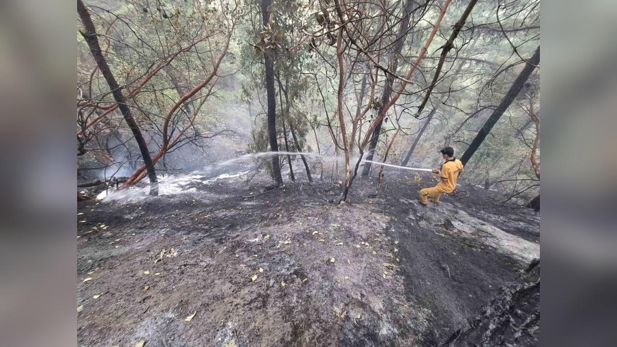 Kahramanmaraş'ta orman yangını kontrol altına alındı
