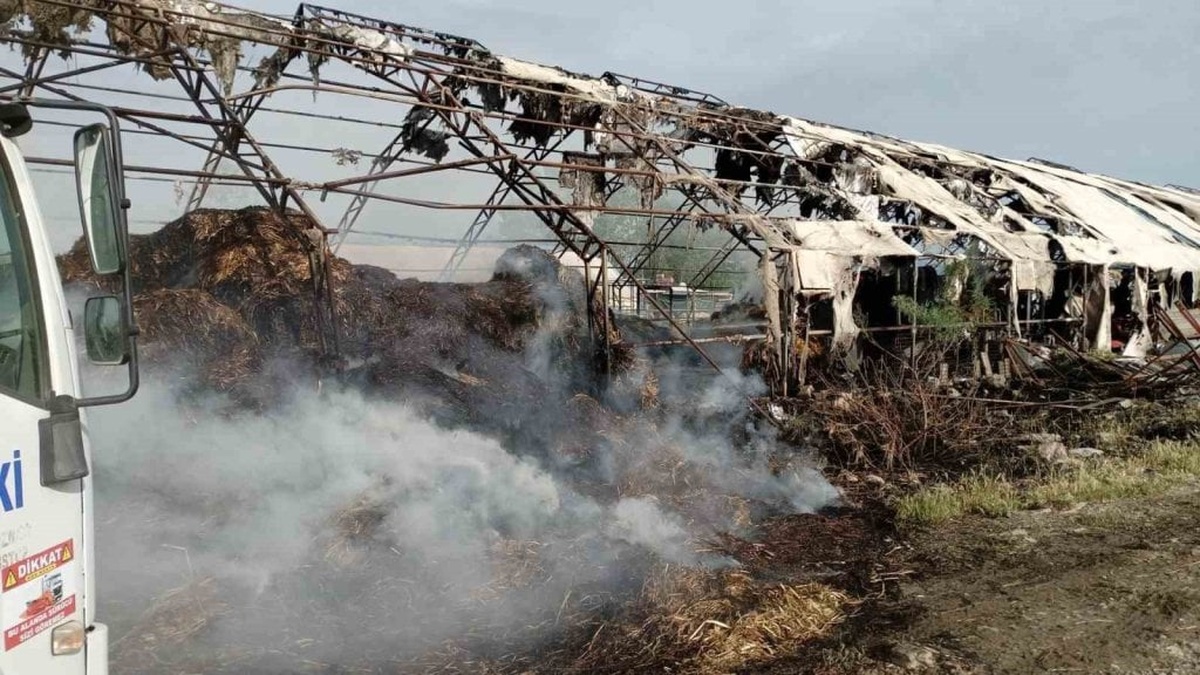 Edremit'te çiftlik yangını söndürüldü