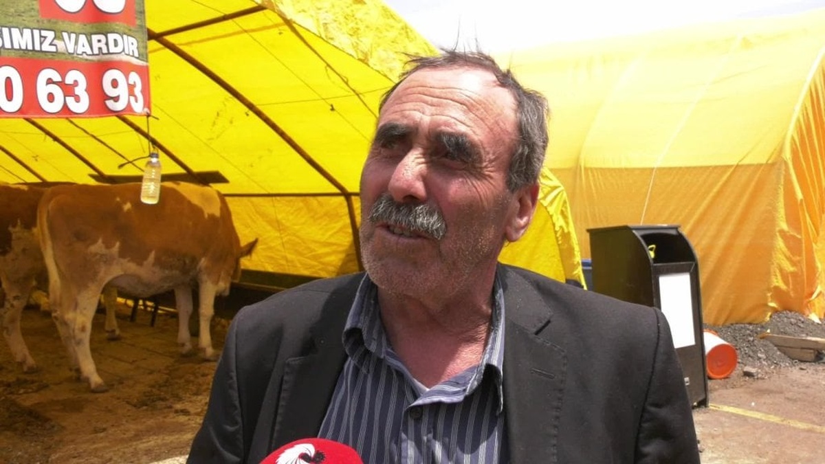 Ankara’da Kurban Bayramı hazırlıkları: Besicilerden maliyet ve talep şikayeti