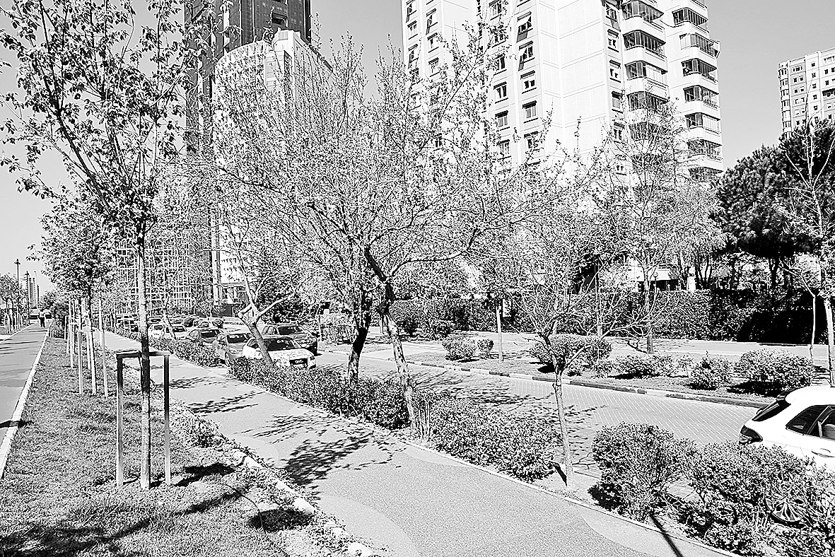 Sokak ve caddeler yeni vizyona kavuşuyor