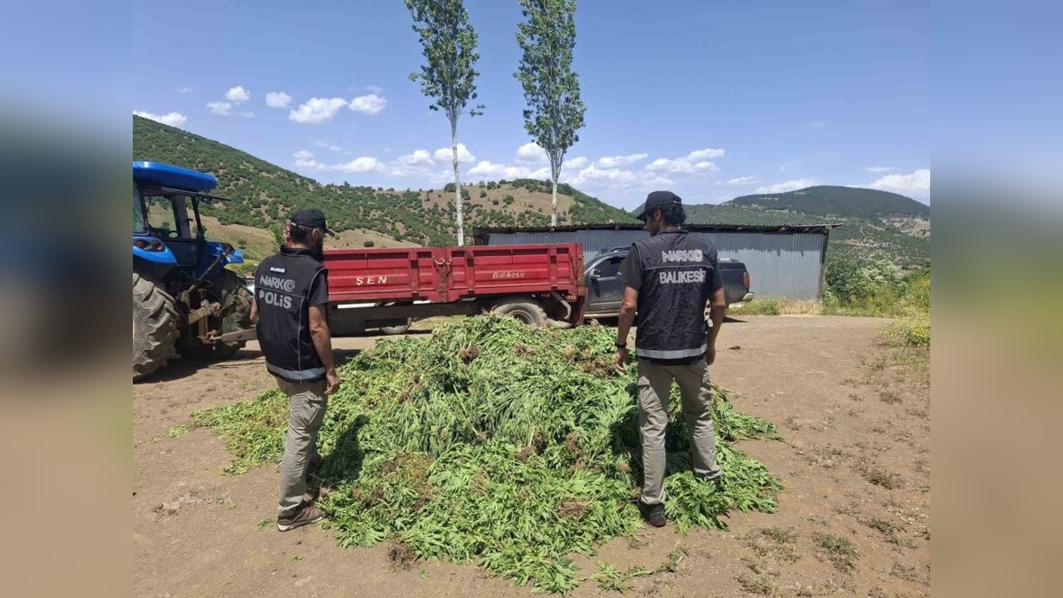 Balıkesir'de dağ evinde uyuşturucu operasyonu: 4 ton uyuşturucu ele geçirildi
