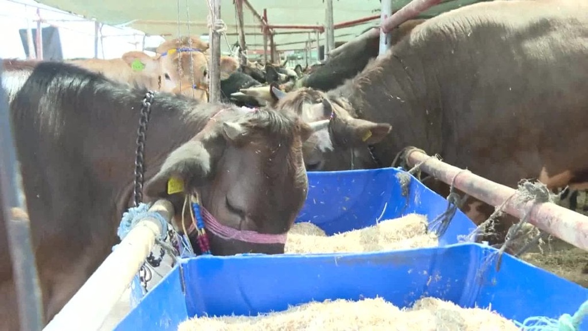 Antalya Büyükşehir Belediyesi kurban satış noktalarında ilaçlama ve temizlik çalışmaları yapıyor