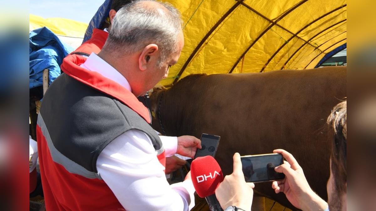 Ankara'da Kurban Bayramı öncesi hazırlıklar tamamlandı