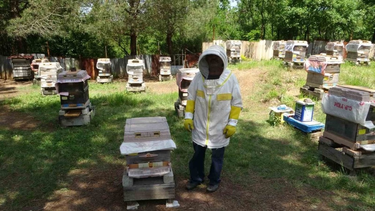 Şile'de arıcı ve gönüllü itfaiyeci: İsmail Alkan, bisikletiyle yangınlara müdahale ediyor