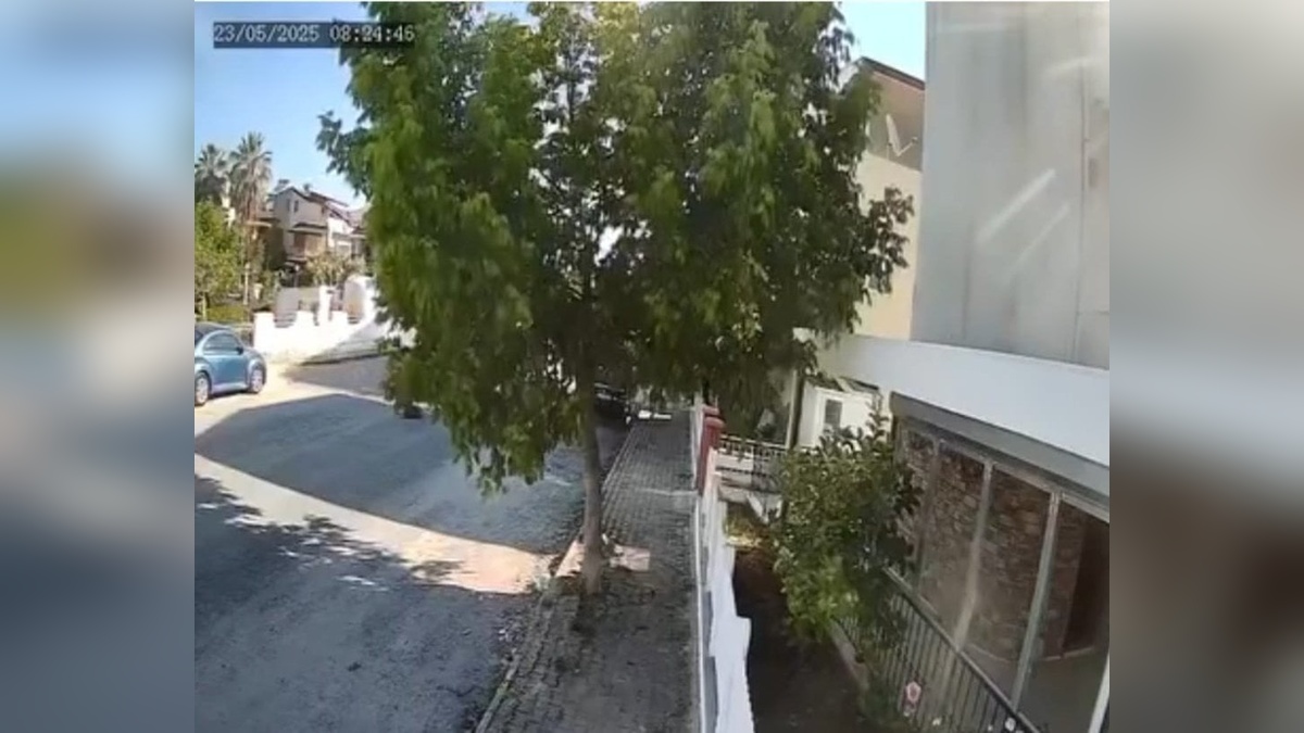 Kuşadası'nda tur otobüsü şoförü yolda yatan köpeği ezdi