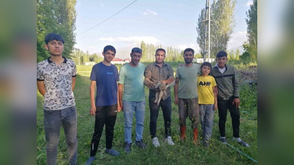 Iğdır'da bitkin halde bulunan tilki, tedavi edilerek doğaya bırakıldı