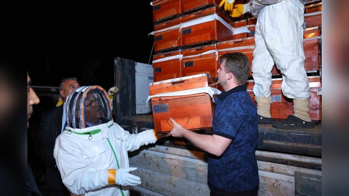 Kayseri Büyükşehir Belediyesi'nden arıcılara 660 bin TL'lik destek