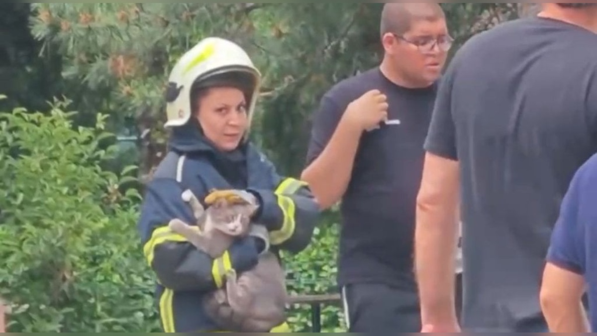 Bursa'da çatı katı yangınında kedi kurtarıldı