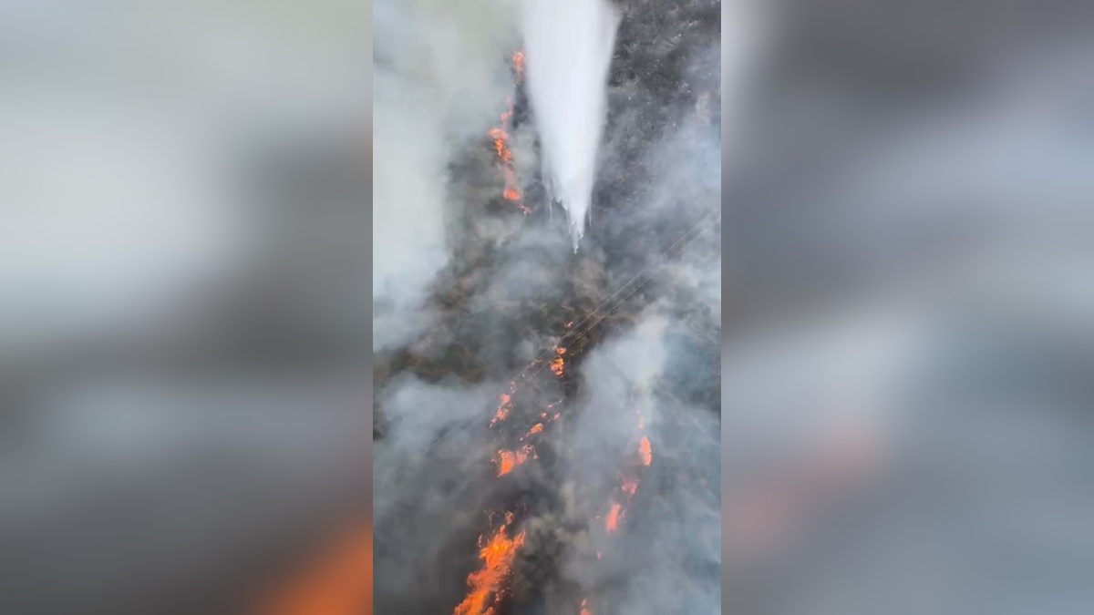 Urla'da makilik yangını: Ekipler müdahale ediyor