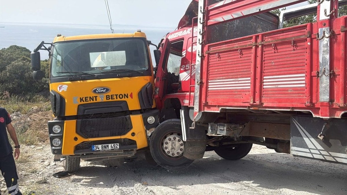 Bodrum'da beton mikseriyle kamyon arasında kalan Aslan Akçakale hayatını kaybetti