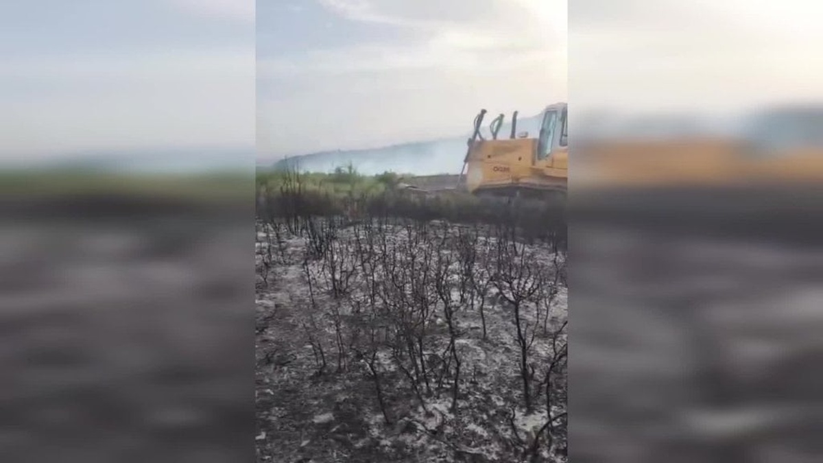 İzmir Foça’daki yangın kontrol altına alındı