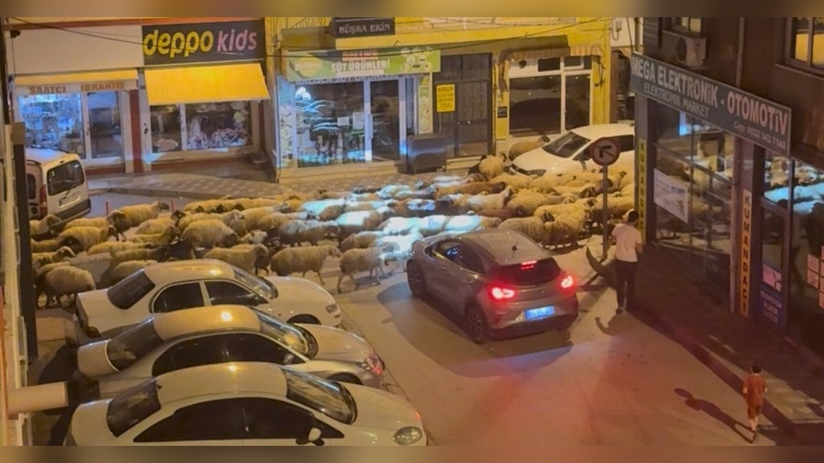 Tokat'ta bahar göçü havadan görüntülendi