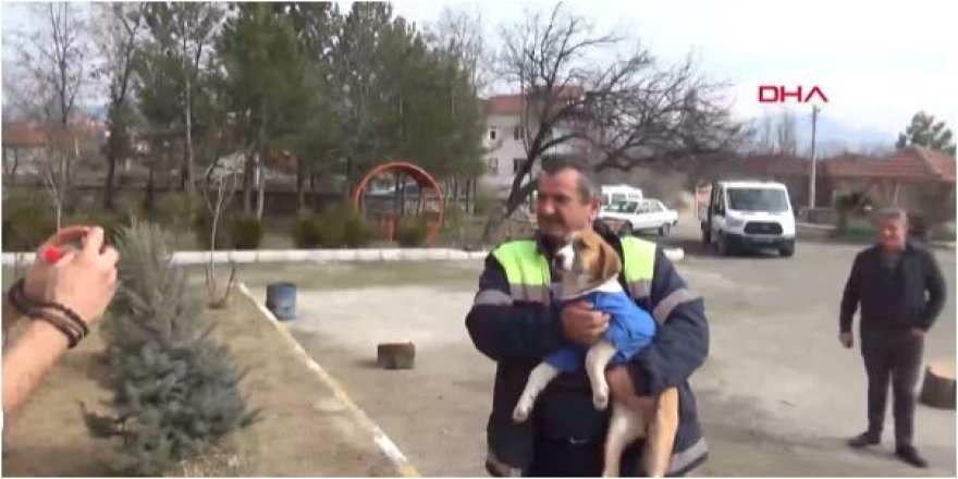 Köy okulunun maskotu olan 'Fındık', hastalandı