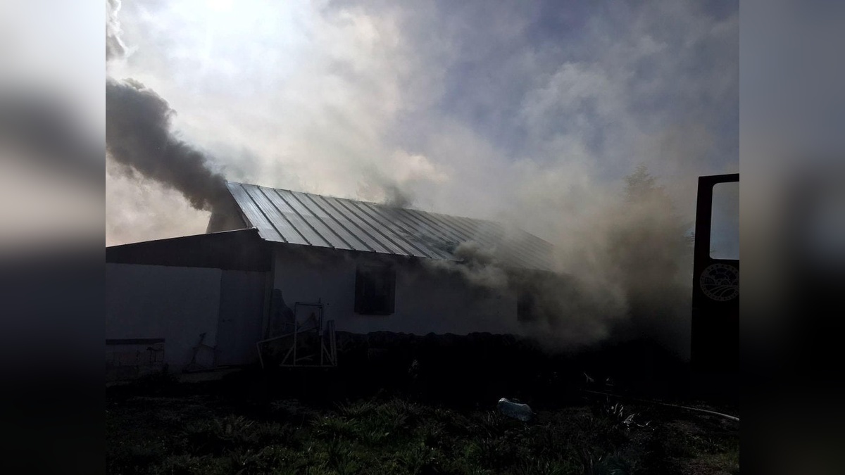 Sakarya'da yayla evi alevlere teslim oldu: 4 kişi dumandan etkilendi