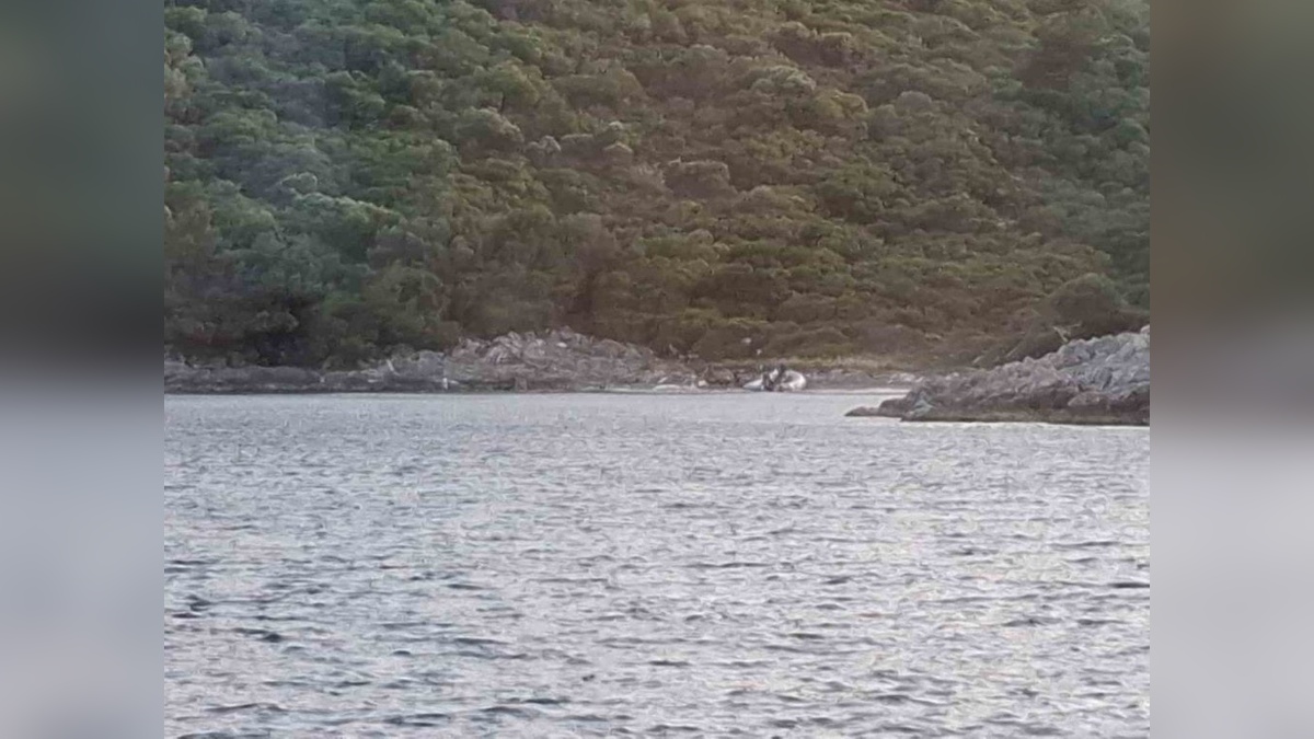 Kuşadası'nda girişi yasak bölgeye botla giren 3 kişiye ceza