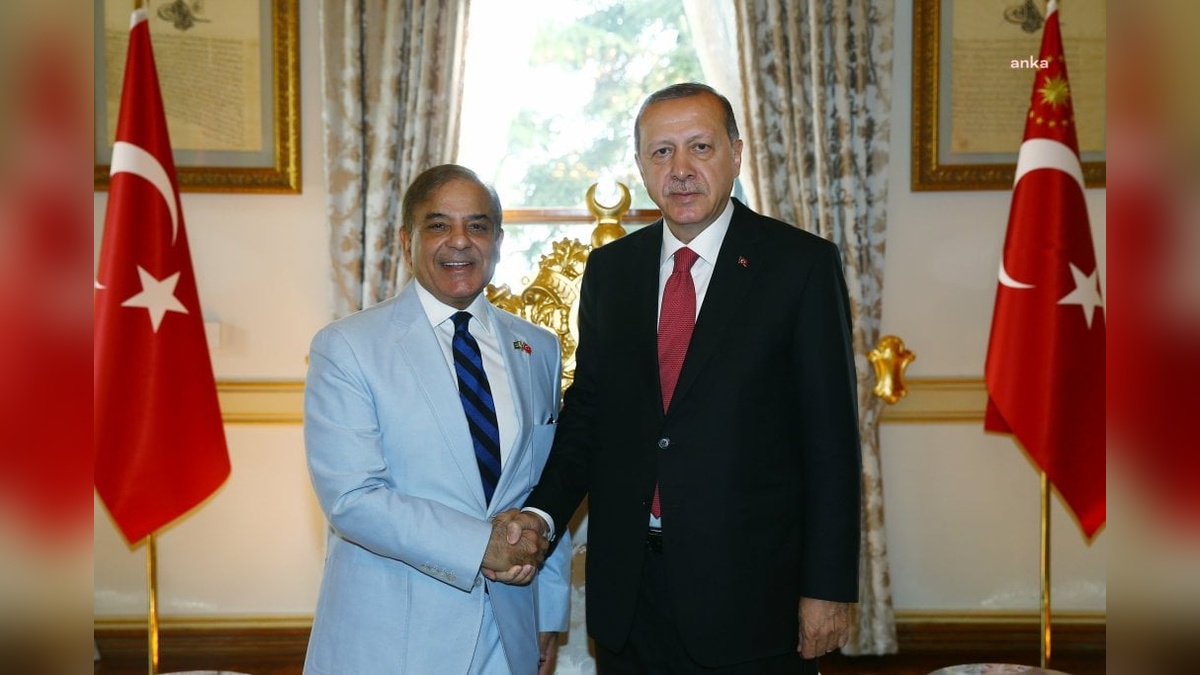 Cumhurbaşkanı Erdoğan, Pakistan Başbakanı Şerif’i kabul etti