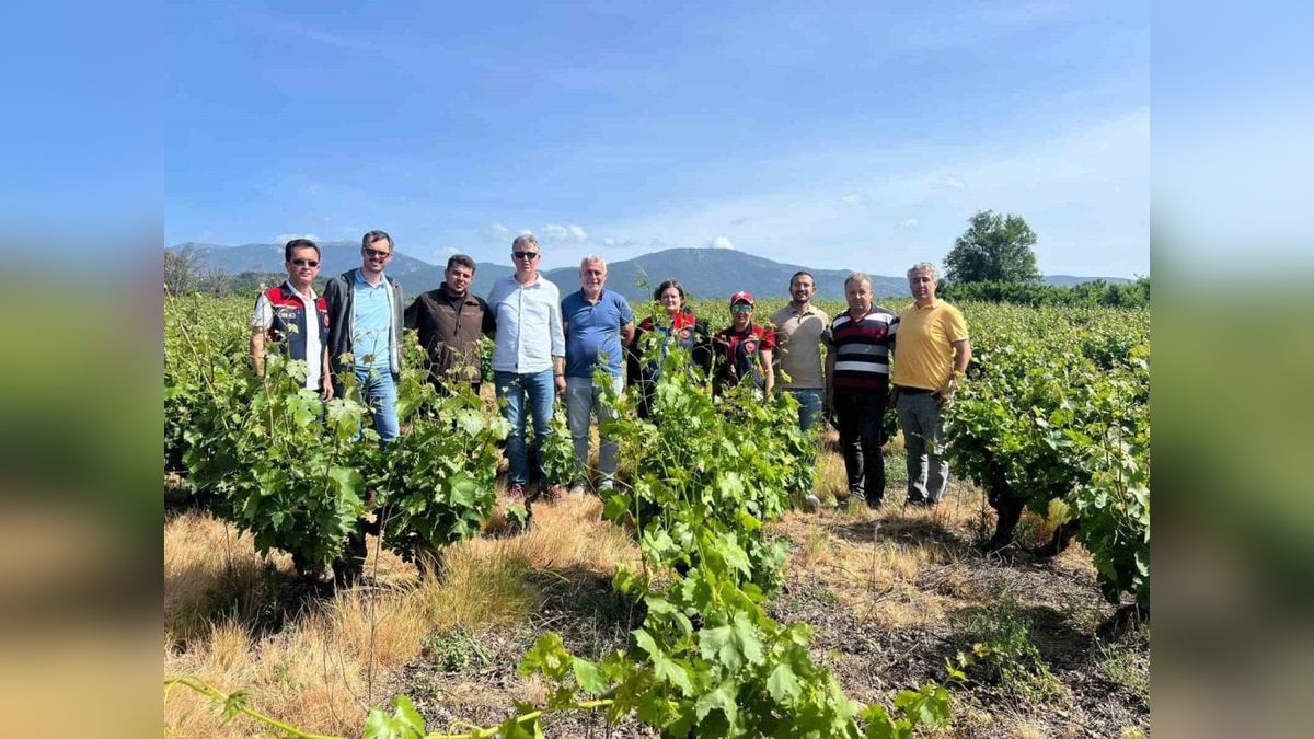 Çanakkale'de don zararlarını tespit çalışmaları sürüyor