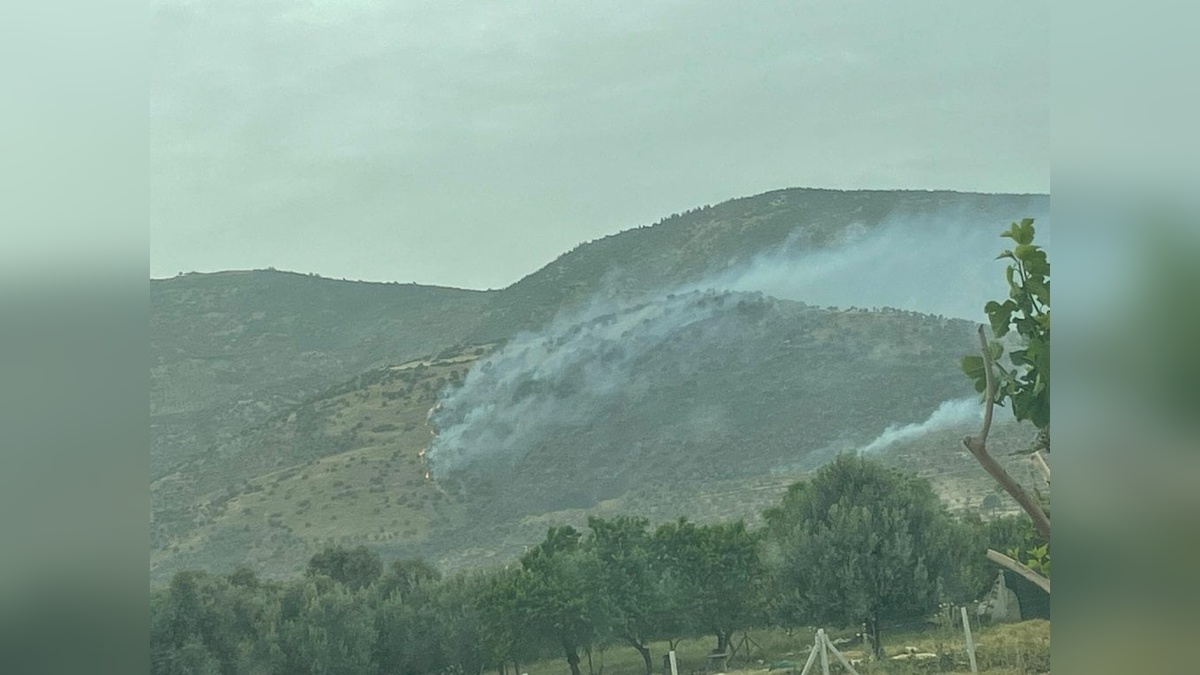 İzmir'de tarım arazisi yangını kontrol altına alındı