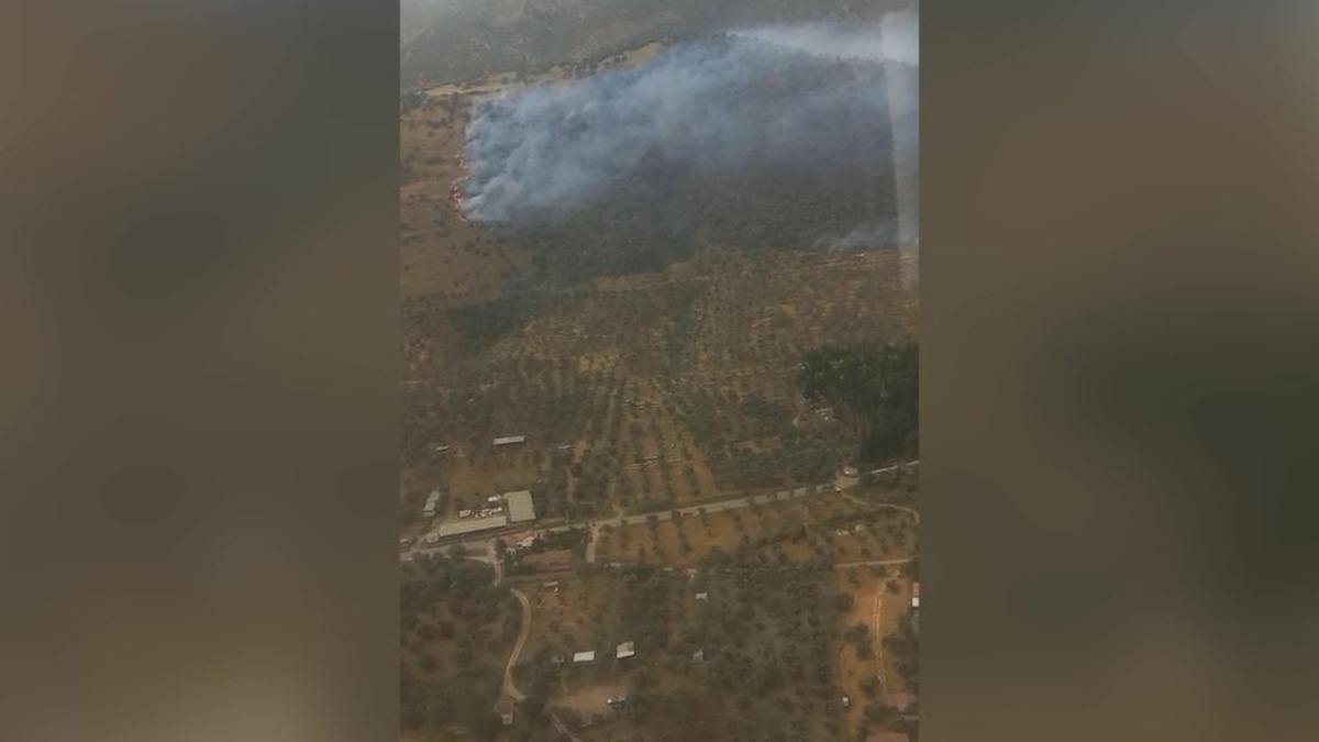 Bayındır'da zeytinlik yangını kontrol altına alındı