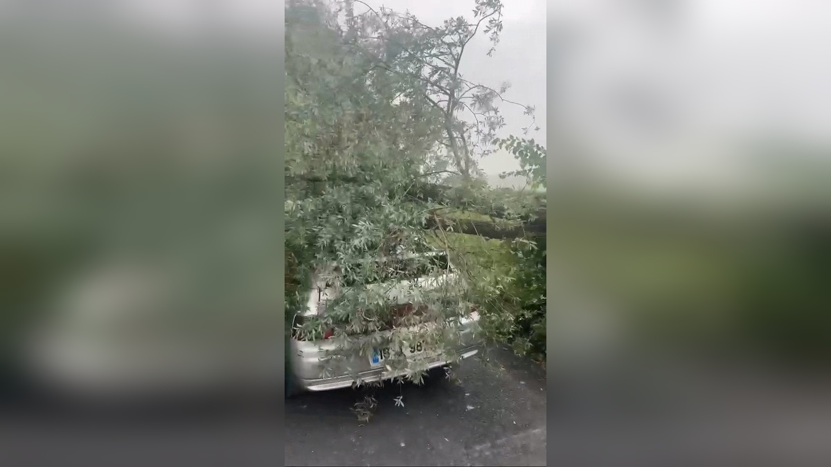 İnegöl'de lodos hayatı olumsuz etkiledi: Park halindeki araca ağaç devrildi