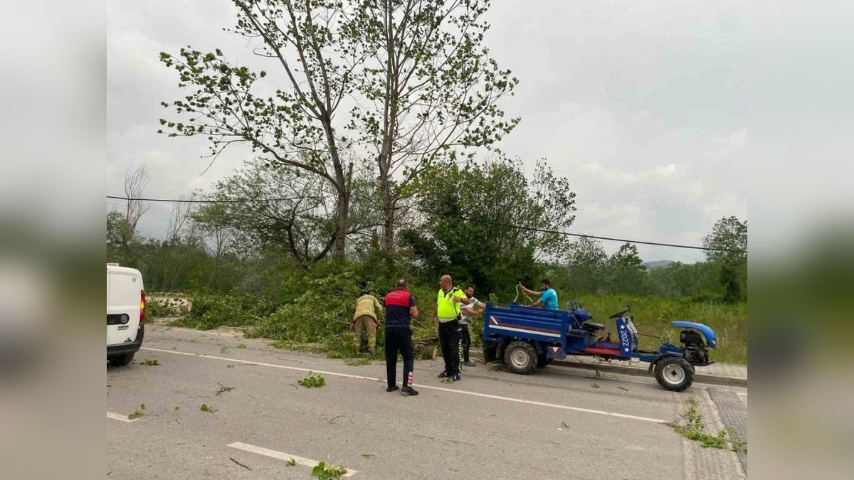 Bartın'da fırtına etkili oldu: Ağaçlar devrildi, yollar kapandı