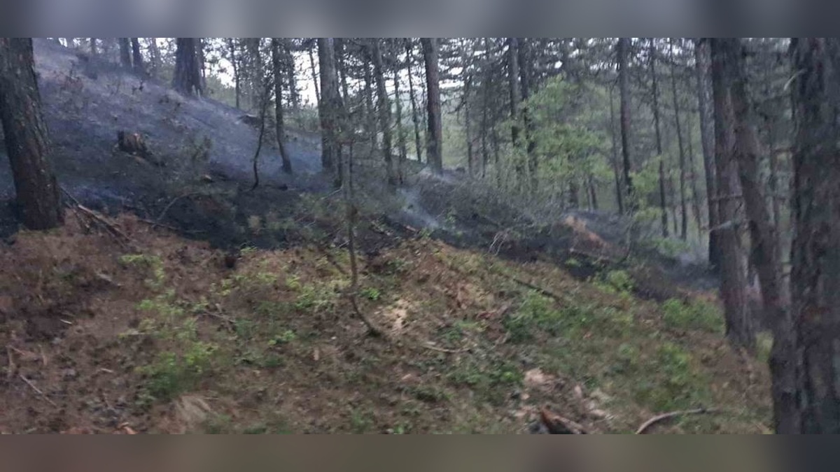 Afyonkarahisar'da yangın: 20 bin metrekarelik alan küle döndü