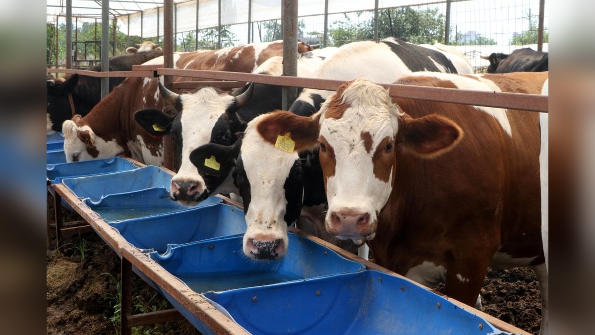 TÜKONFED Siber Güvenlik Komisyonu Başkanı Baki'den uyarı: Sahte kurban bağış sitelerine dikkat