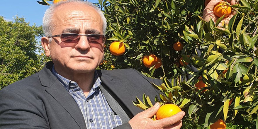 Sahte tüccardan çiftçilere milyonluk vurgun