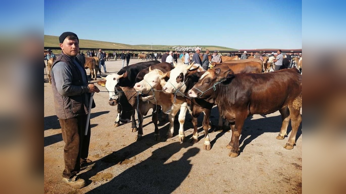 Bayburt'ta kurban satış ve kesim yerleri belli oldu