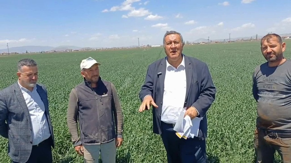 CHP'li Gürer: Buğday alım fiyatı 20 lira olmalı