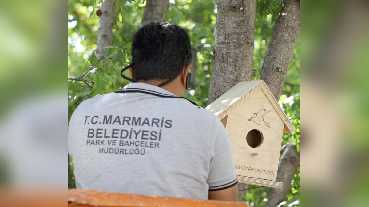 Marmaris Belediyesi'nden yangın sonrası doğaya destek: El yapımı kuş evleri ağaçlara yerleştiriliyor