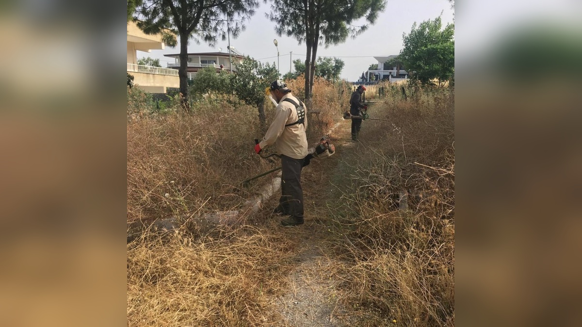 Didim Belediyesi, Hisar Mahallesi'ndeki kuru otları temizledi
