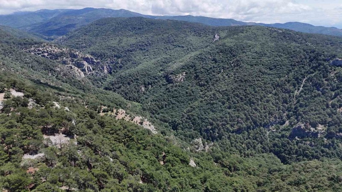 Çanakkale'de kaybolan İl Müdür Yardımcısı Adil Bartu için 100 kişilik ekip seferber oldu