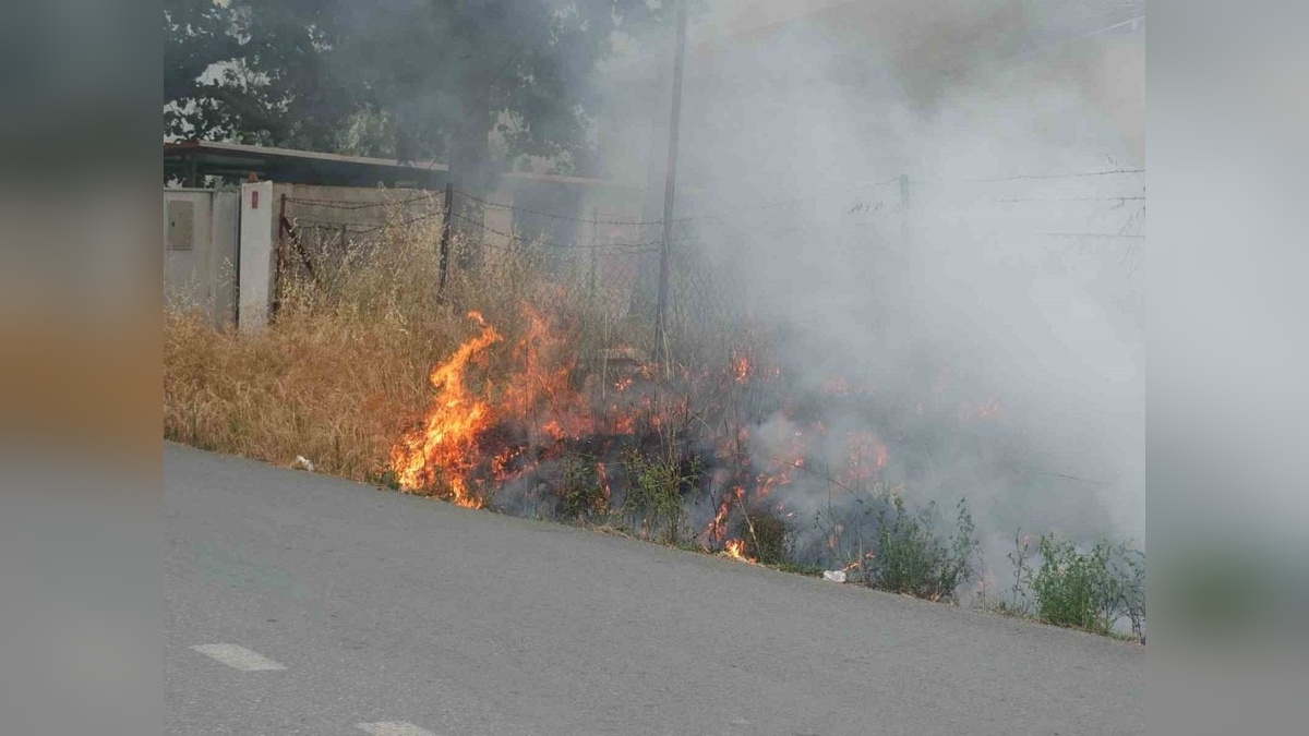 Burhaniye'de ot yangını korkuttu