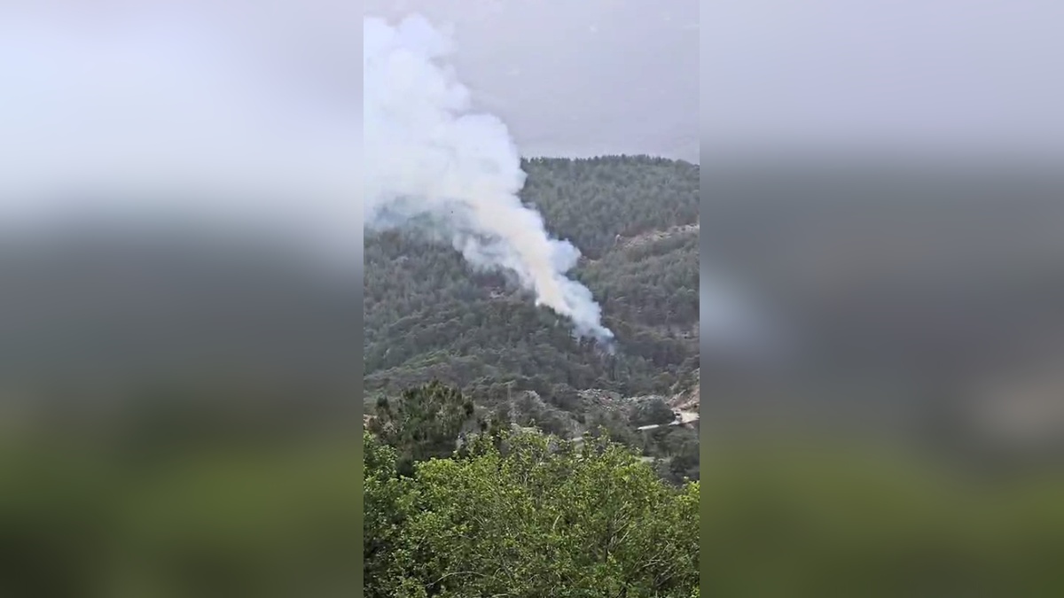 Antalya'nın Kumluca ilçesinde orman yangını çıktı