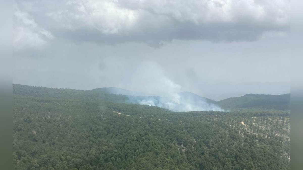 Nazilli'de orman yangını: 5 hektar alan zarar gördü