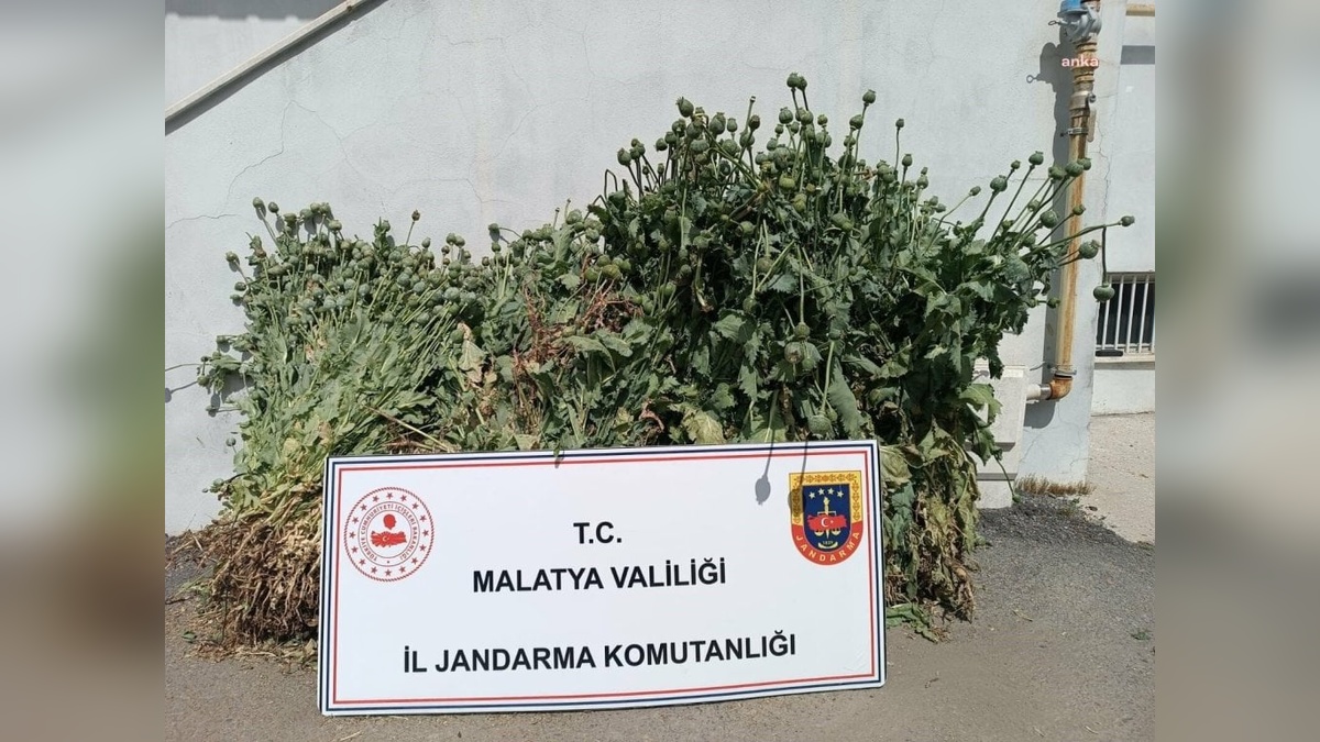 Malatya'da jandarmadan uyuşturucu operasyonu: 18 şüpheli yakalandı