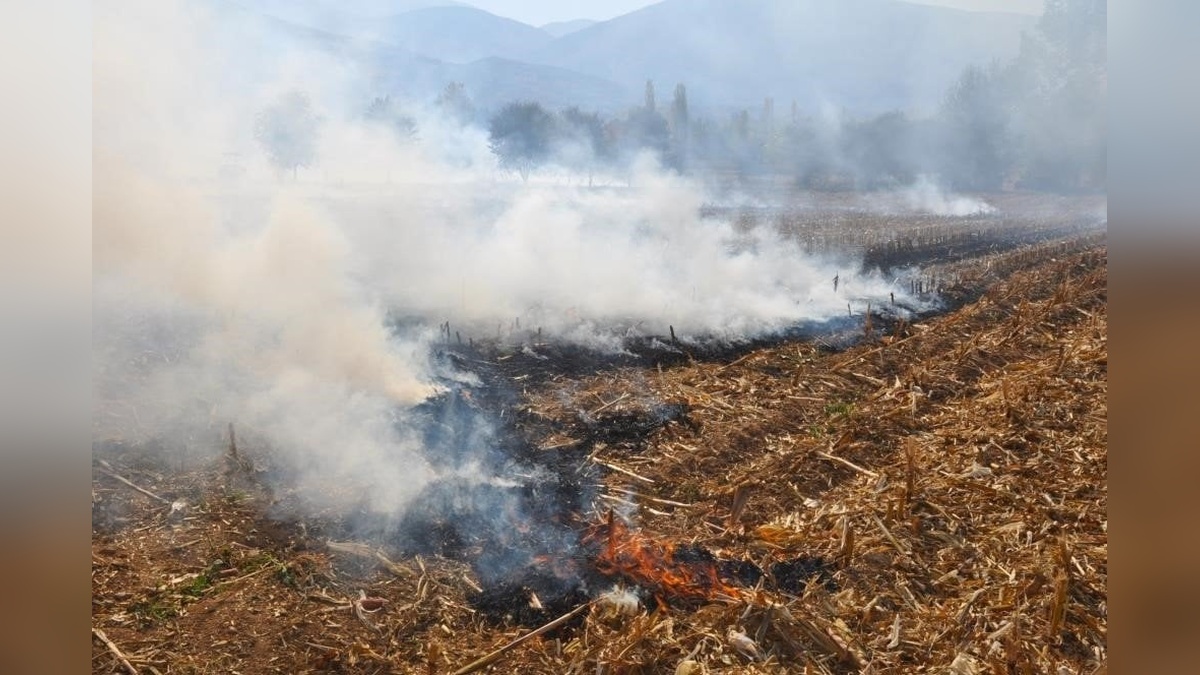 Uzmanlardan yangın uyarısı: 'Sıcak havalarda dikkatli olun'