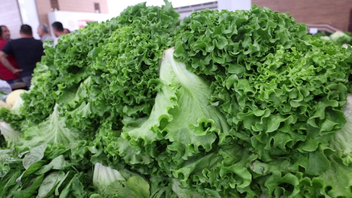 Manavgat Belediye Başkanı Kara, pazaryerini ziyaret etti