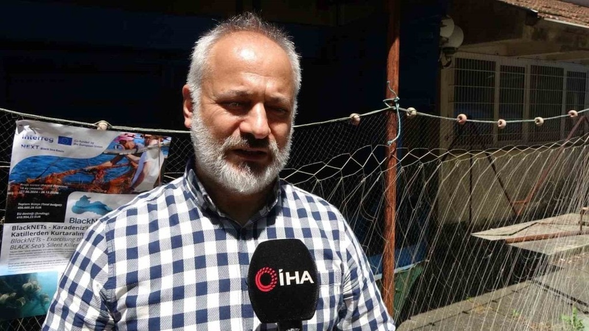 Karadeniz'de yunus ölümleri arttı: 'Aşırı avcılık etkili'