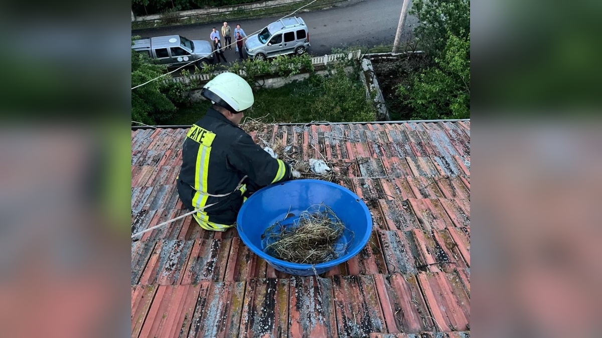Tosya'da fırtınada yuvalarıyla birlikte çatıya düşen leylek yavruları kurtarıldı