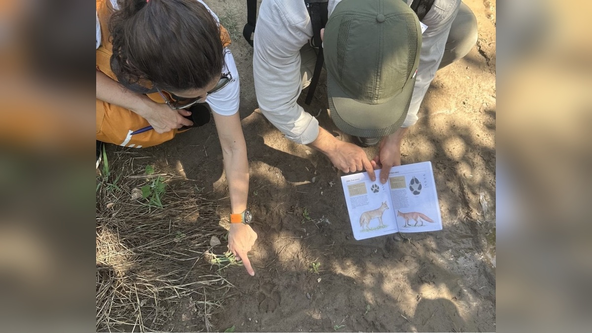 Diyarbakır Büyükşehir Belediyesi'nden orman anaokulları giriş kursu