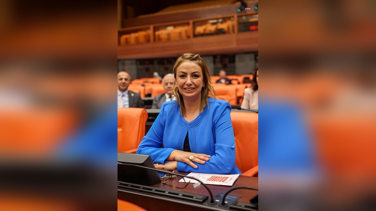 CHP'li Kara: Hatay, doğal gazda iktidar tarafından cezalandırıldı