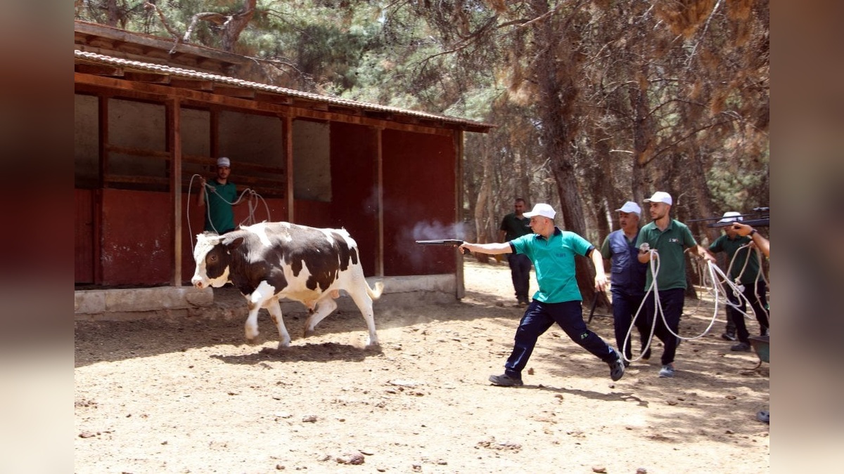 Gaziantep'te kurban yakalama timi göreve hazır