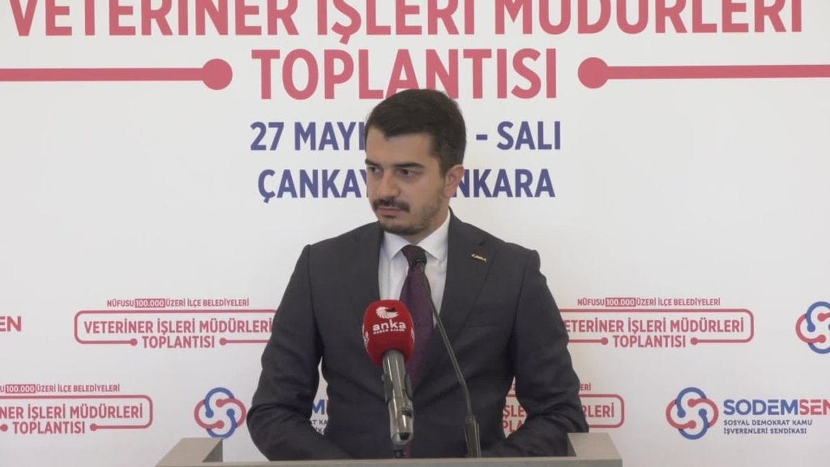 CHP'li Zeybek: Hayvan sevmeyen veteriner hizmetlerinde çalışamaz