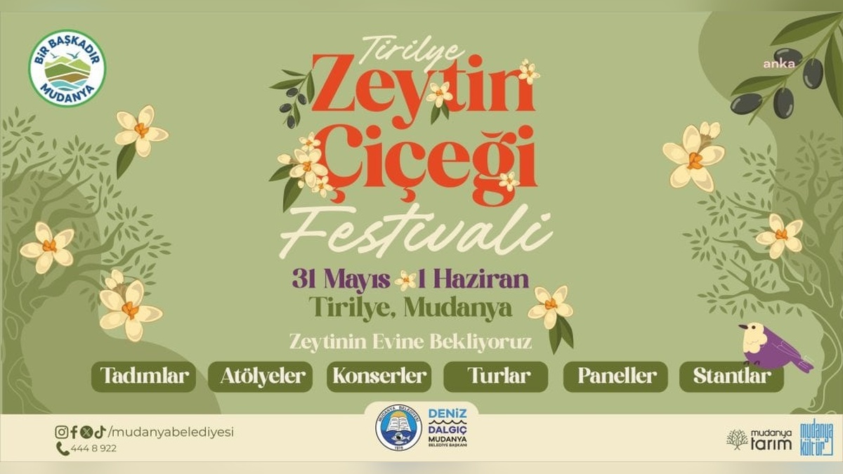 Mudanya Belediyesi'nden Tirilye Zeytin Çiçeği Festivali: 31 Mayıs - 1 Haziran'da