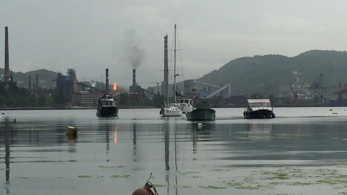 Erdemir'den hava kirliliği iddiası: Çevre gönüllülerinden 'öldürmeye teşebbüs' suç duyurusu