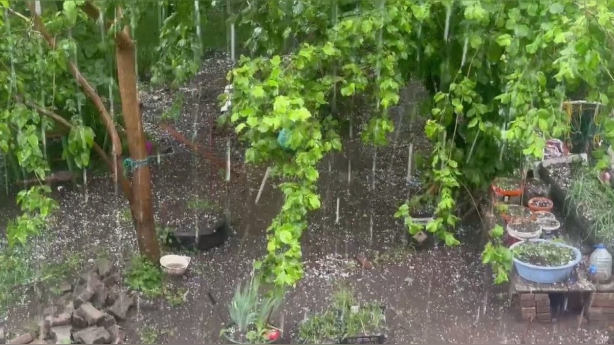 Şavşat'ta dolu zararı: Meyve ve sebze bahçeleri beyaza büründü